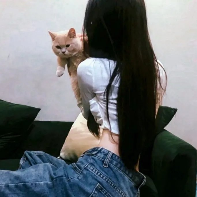 嗜血破晓