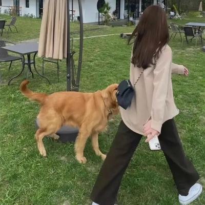 出发吧!我的脱单假期